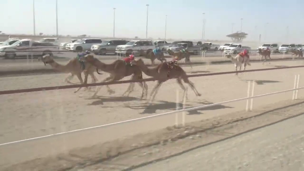 ش3احتلال لــ محمد بن خليفة طالب المهري2:09