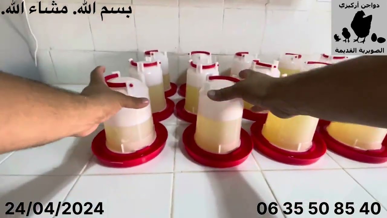 الحلقة 11 - متى و لماذا تعطى الفيتامينات - سلسلة « من البيضة إلى البيضة »