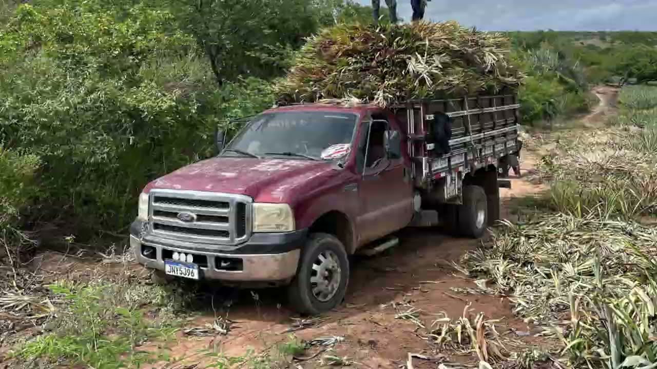 F4000 na lama carregamento na roça #vlog #rally #f4000