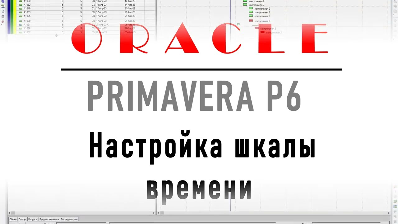 Как настроить Primavera P6? Как настроить шкалу времени в Primavera P6?