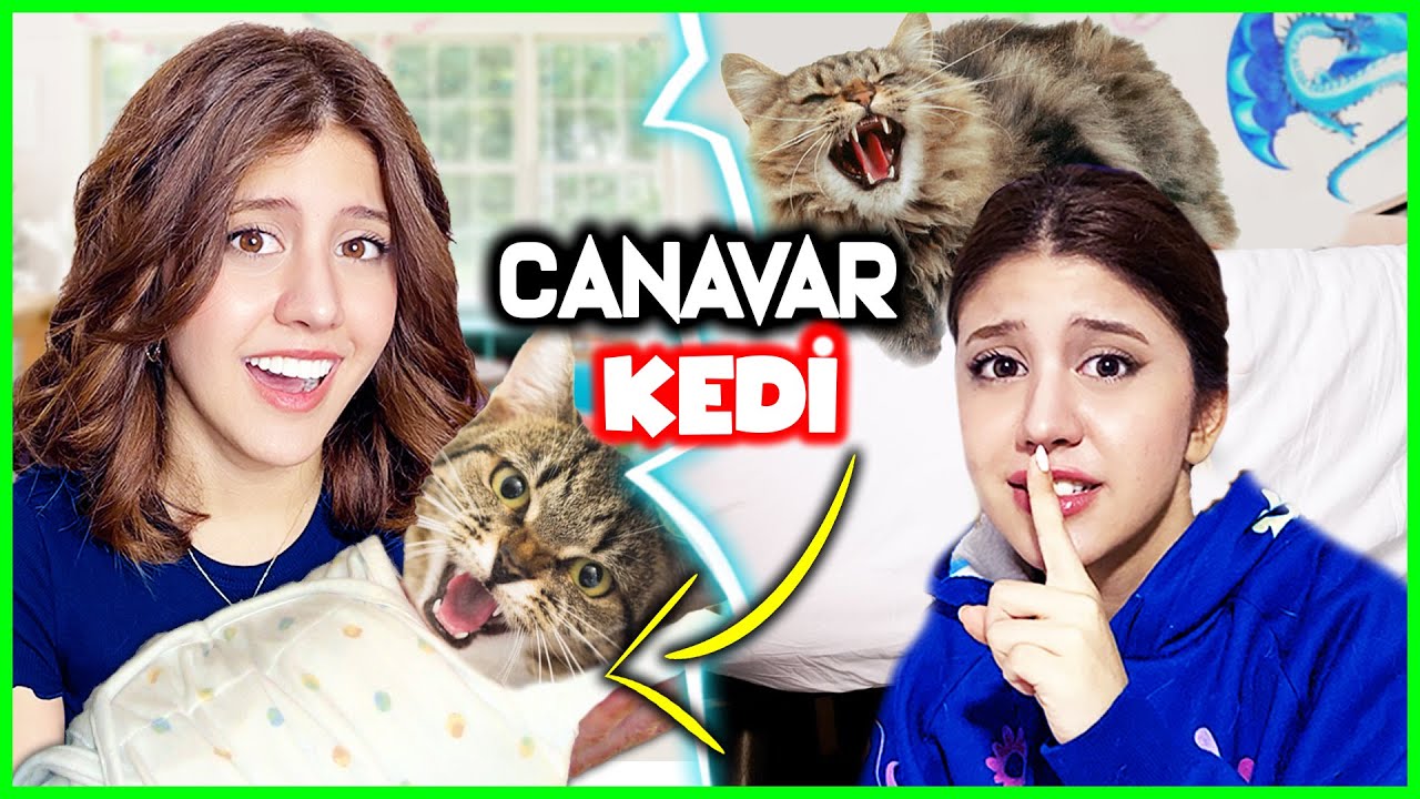 DÜNYANIN EN ÇILGIN KEDİSİNE BAKMAK YAĞMUR KAYA