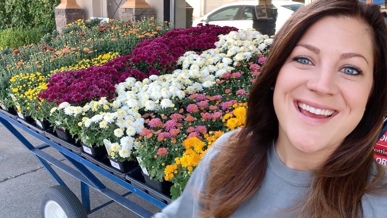 Fall Plant Shopping! 🙌🍂// Garden Answer