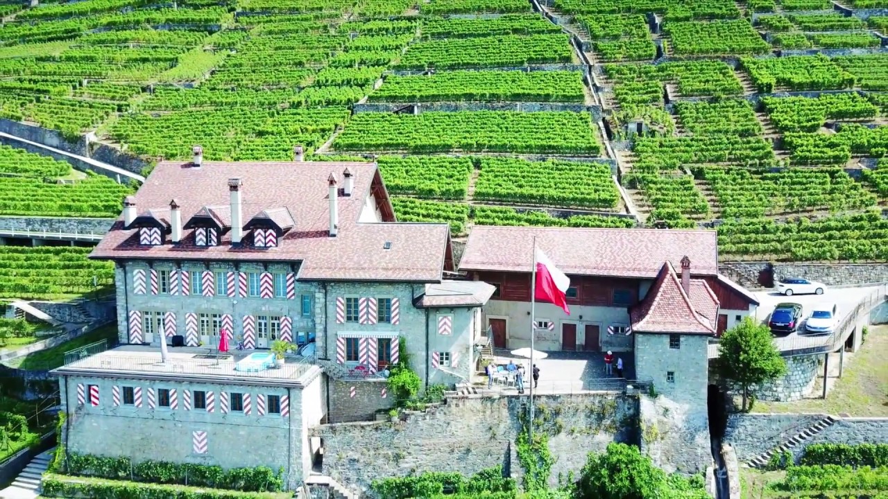 Weinreise: Ville de Lausanne, D&eacute;zaley