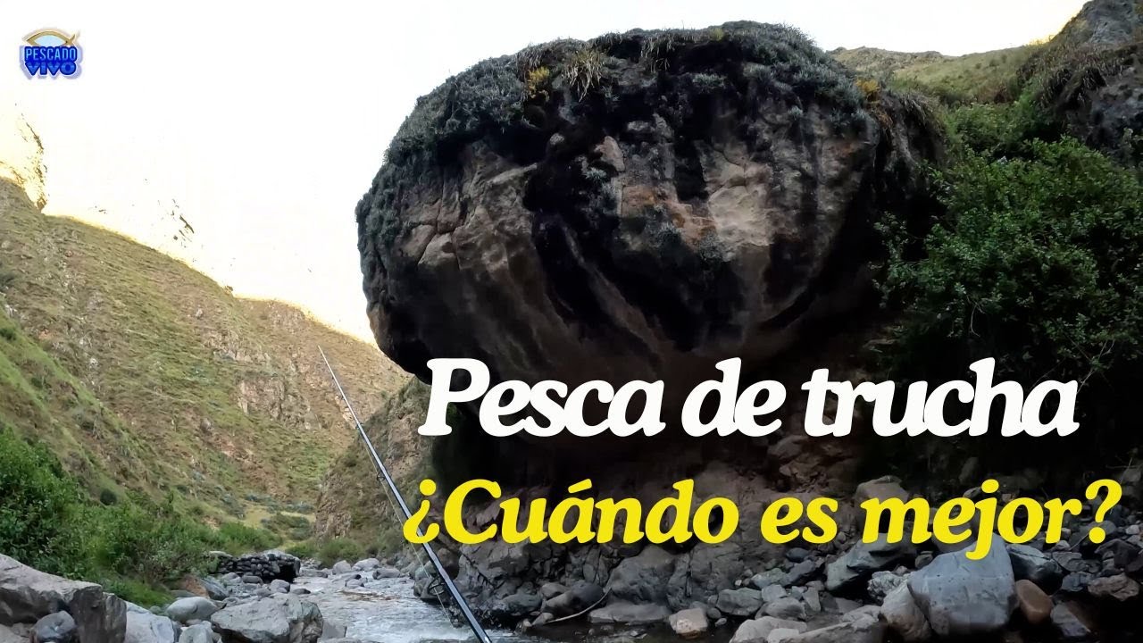 MIRA CUAL ES LA MEJOR TEMPORADA PARA PESCAR TRUCHAS EN ALREDEDORES DE LIMA