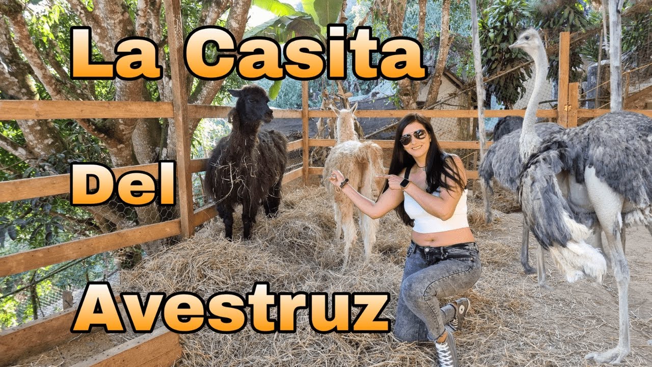 NUEVO ZOOLÓGICO DE CARACAS (La Casita del Avestruz) Venezuela. 🇻🇪
