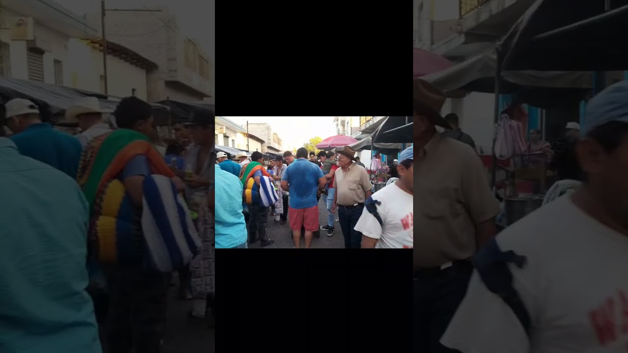 Precio de los productos lácteos en plaza la Quesera de Santa Rosa de Lima este 23 de enero 