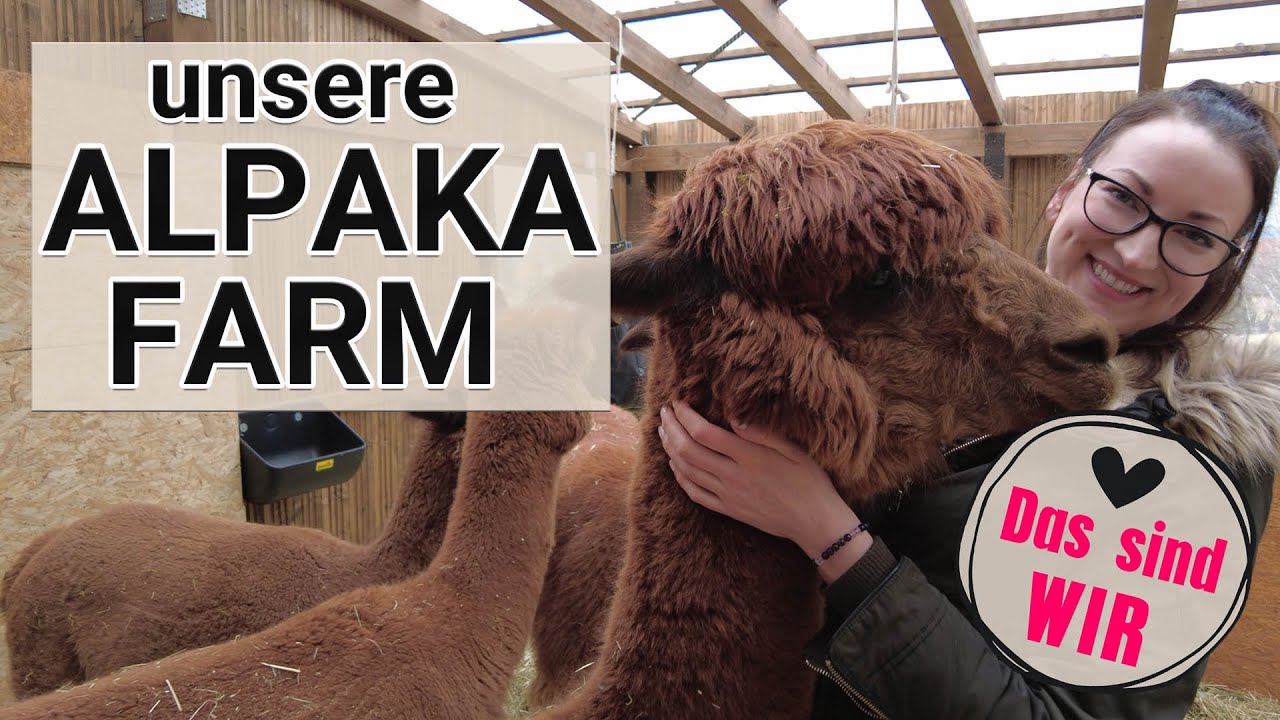 Unsere Alpakafarm - es geht los! | Herzlich Willkommen 😍