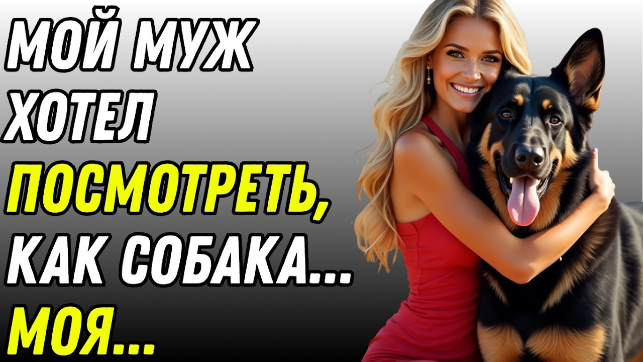 😱 ЧТО СДЕЛАЛА СОБАКА?! Вы не поверите ее признанию... | ИСТОРИЯ ОБ ИЗМЕНЕ