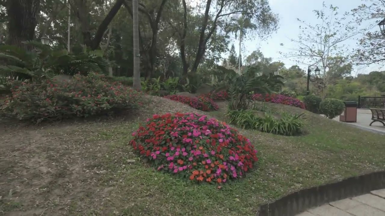 【北區公園】(2) - 翠綠園景，美麗花圃，湖中倒影，漣漪.......
