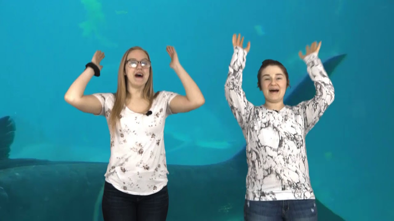 Books of the Bible (Hand Motions) | Kaitlynn & Emily | HIPM
