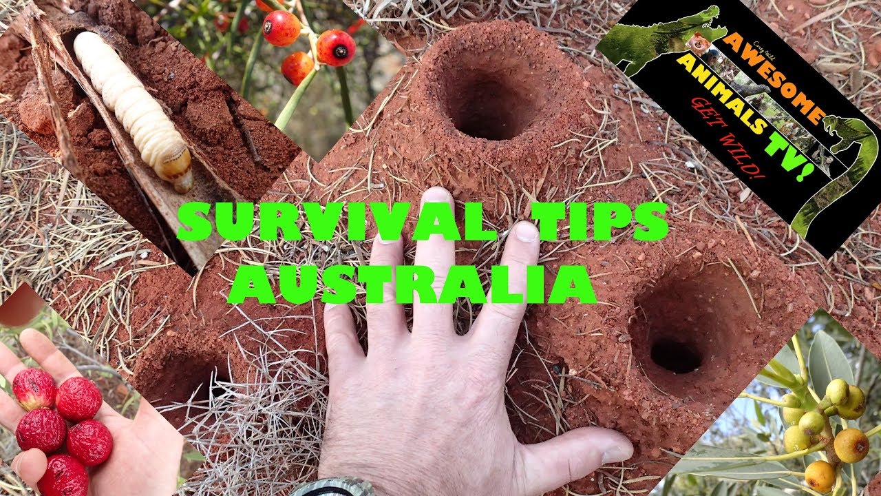 CATCH and COOK -  BUSH TUCKER AUSTRALIA - WHAT YOU CAN EAT!