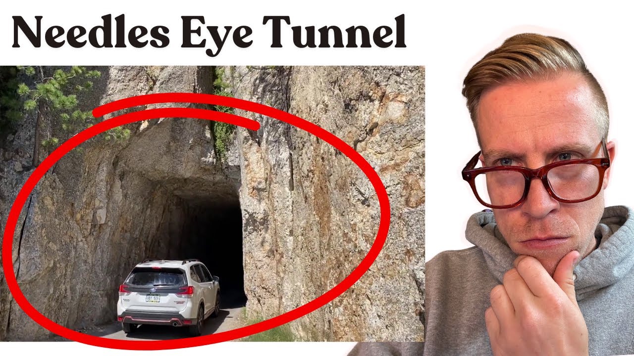 Needles Eye Tunnel of Custer State Park South Dakota REACTION