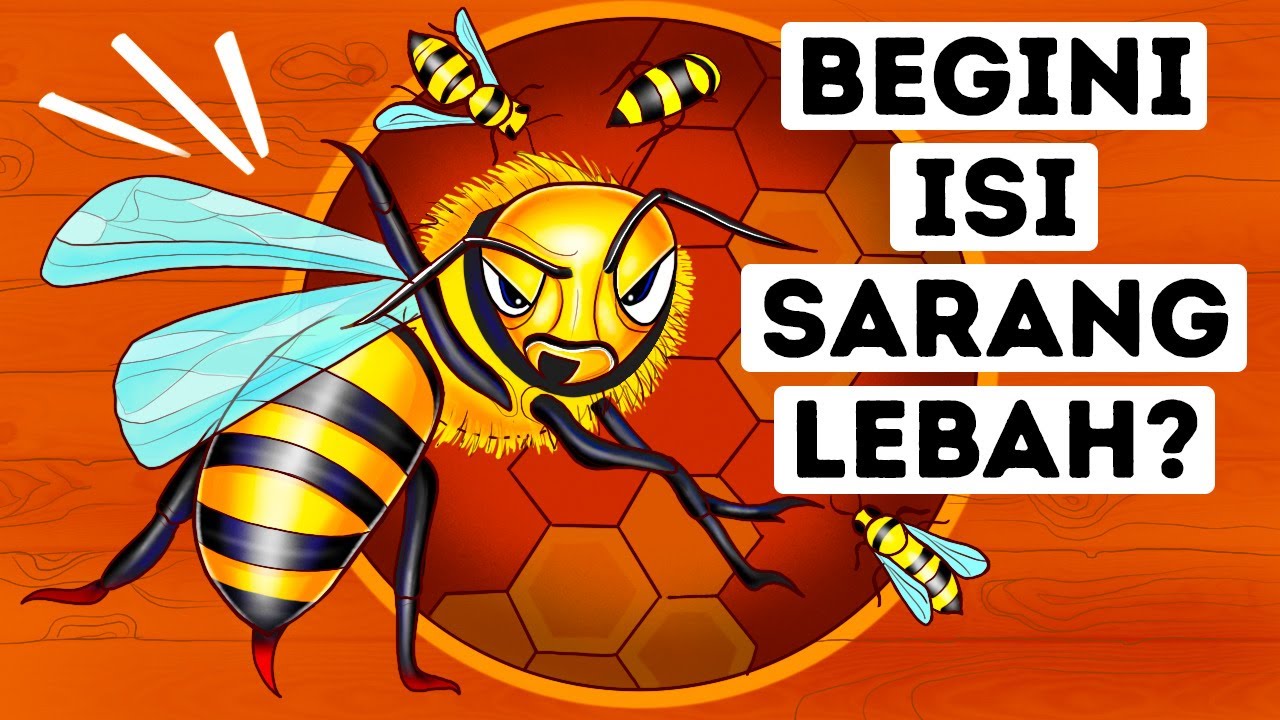 Inilah yang Bisa Kamu Lihat kalau Masuk ke Sarang Lebah