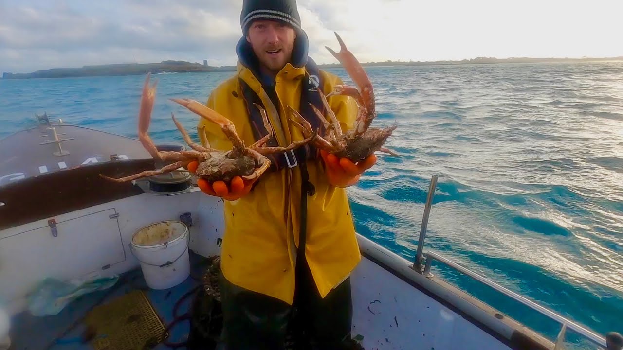 Big Winter Spider Crabs & Lobster - Catch & Cook ! Calm to Rough Sea Quickly ! 