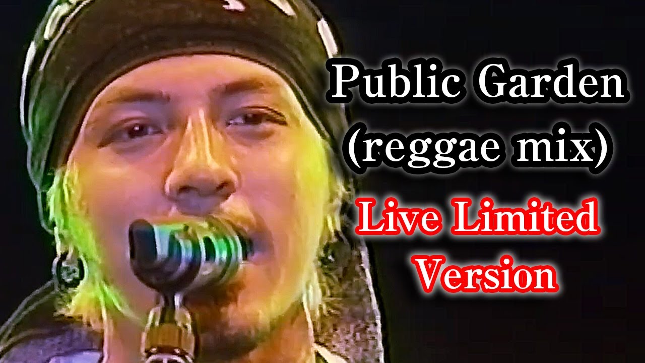 Public Garden(reggae mix) - Dragon Ash (LIVE MIX)