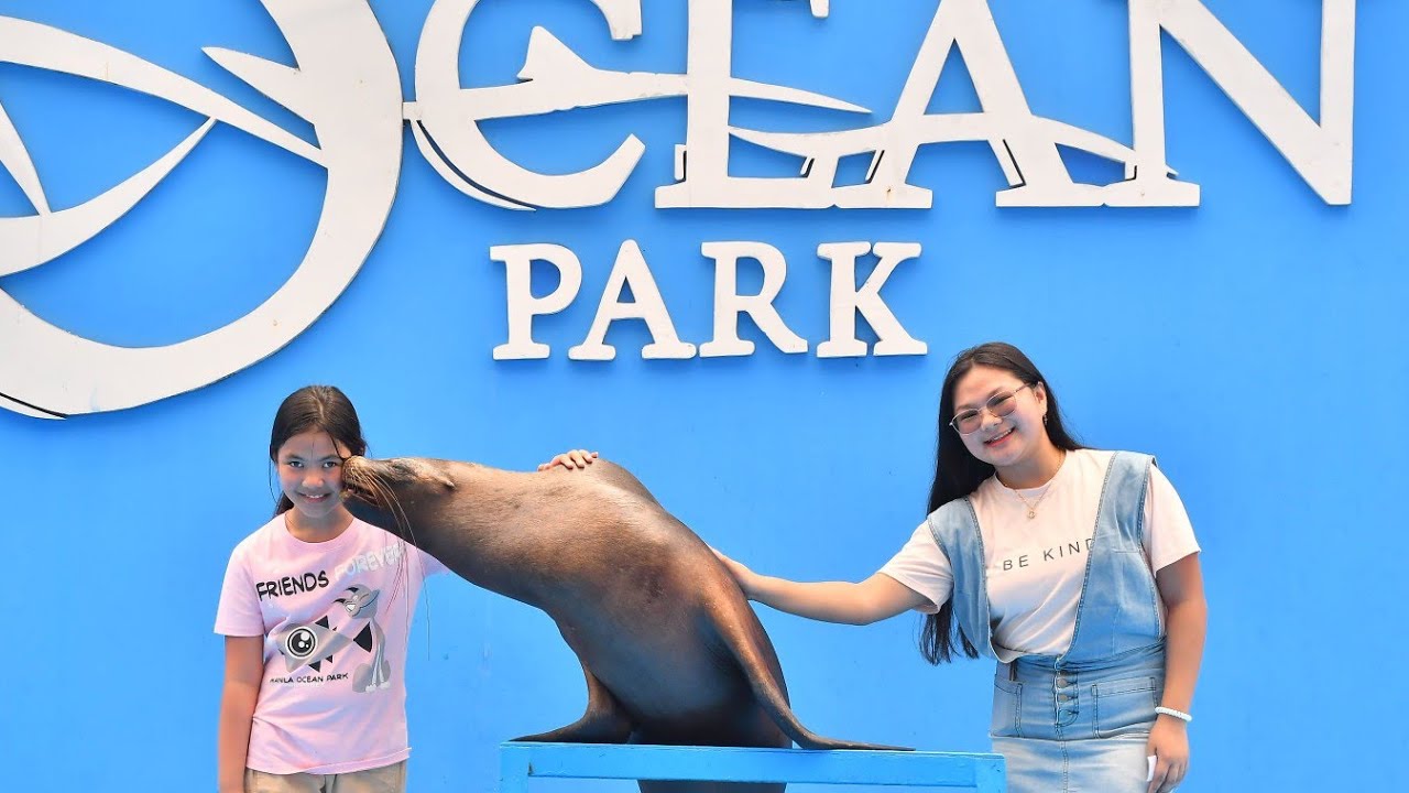 Sea lions and Bird show @manilaoceanpark 2023