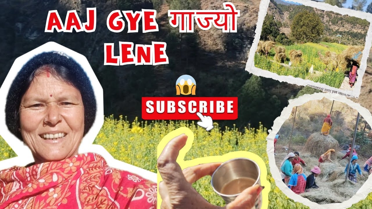 आज गए गाज्यो लेने 😱⛰️❤️#pahadi #phadilifestyle #vlog 