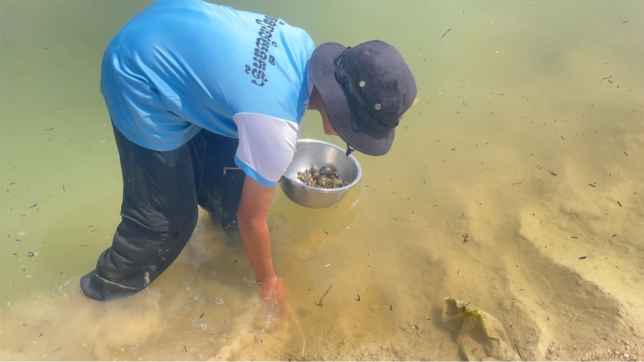 Walking by the River to Find Clams | Countryside Lifestyle