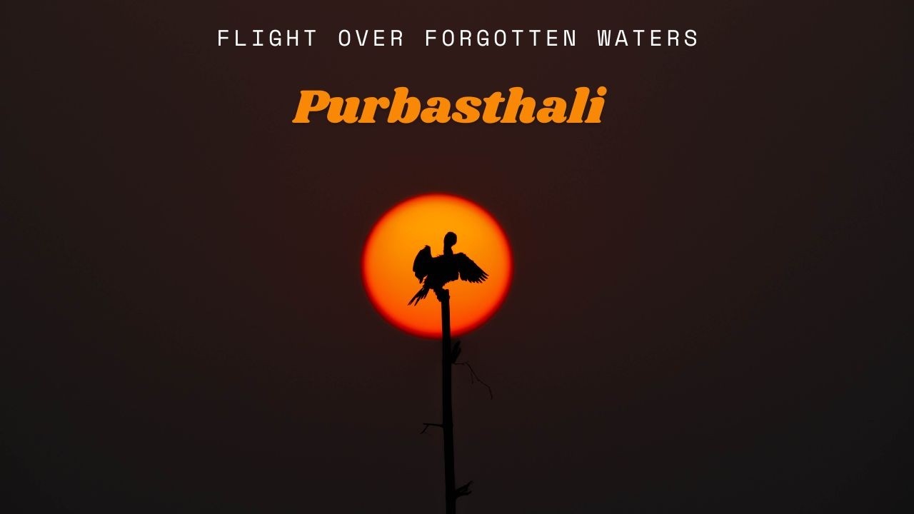 Flight over forgotten waters - Purbasthali - Birding paradise of Bengal