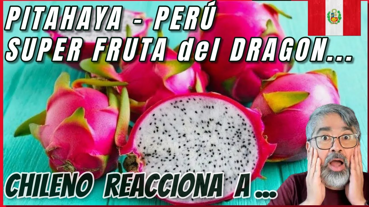 Chileno reacciona a la pitahaya del PERÚ , la super fruta del #DRAGON #peru