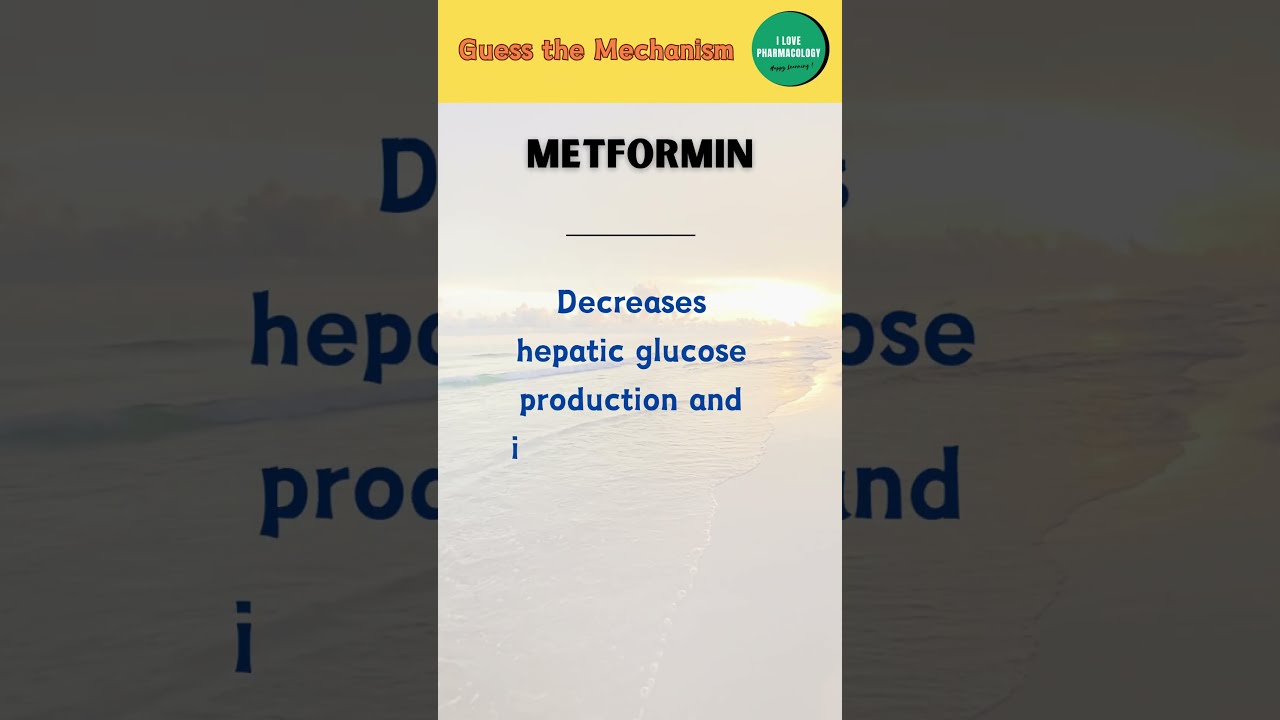 Metformin Mechanism