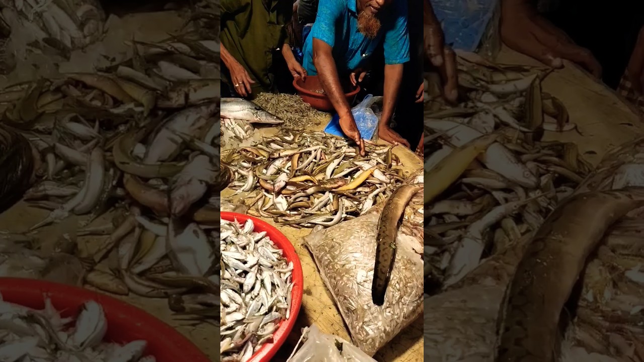 Small Bine fish Tk 450 per kg Mymensingh.