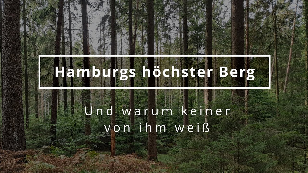 Dieser 