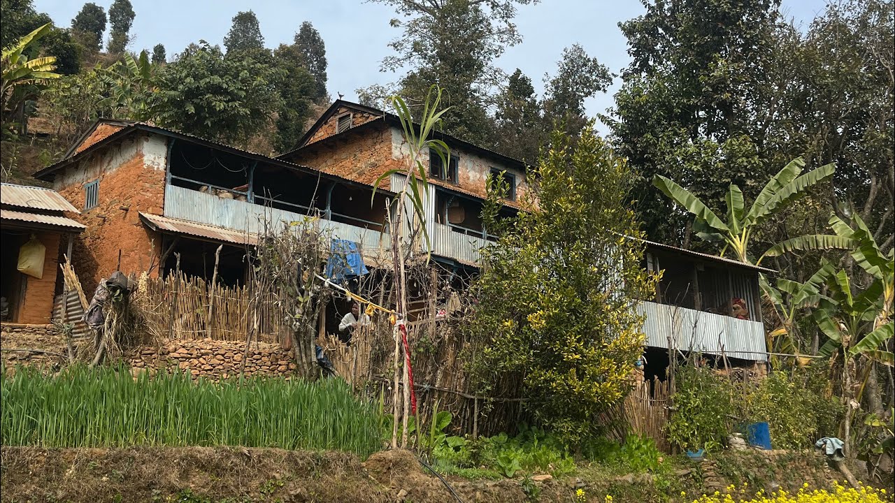 Gaughar 🏠🤍