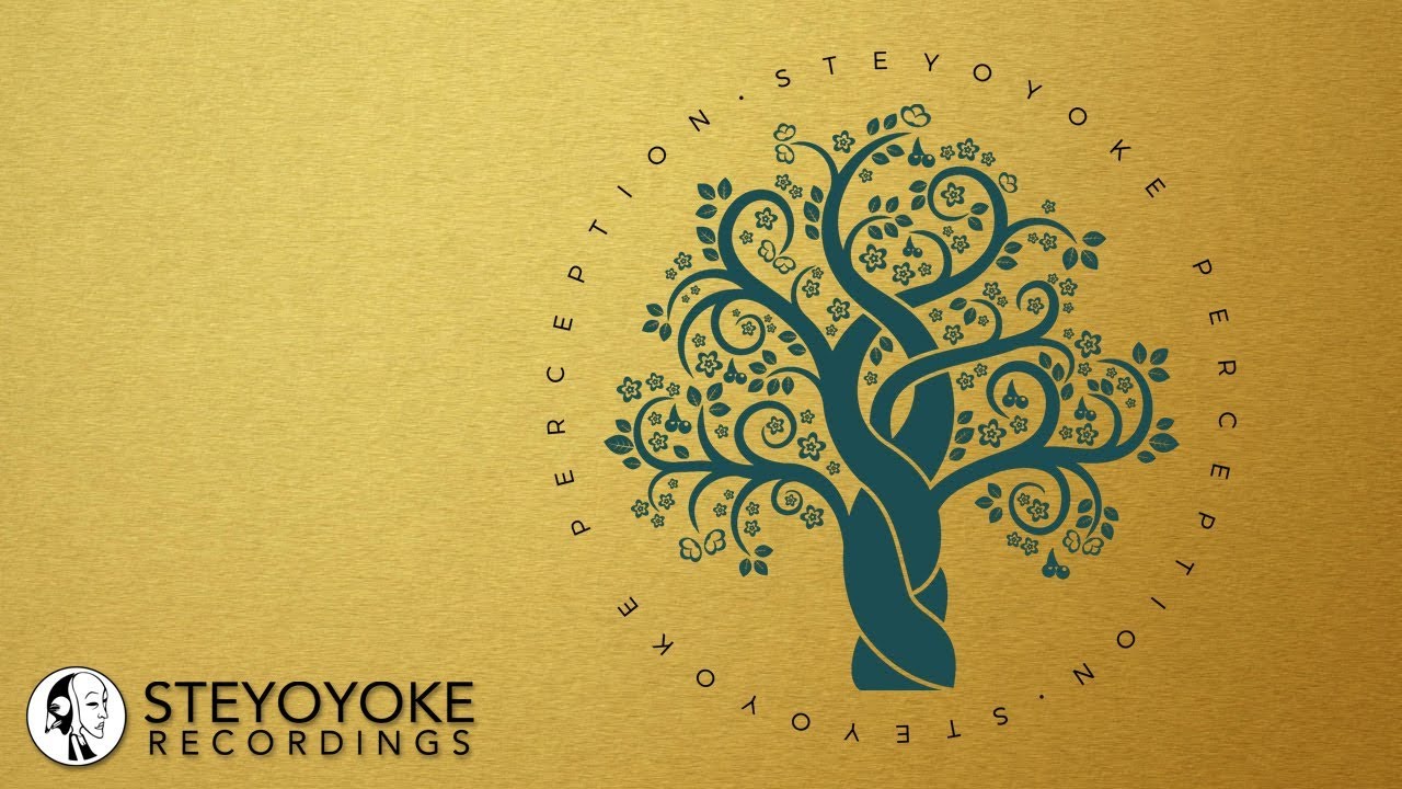 Fake Mood - Paramatma (Original Mix) | Steyoyoke