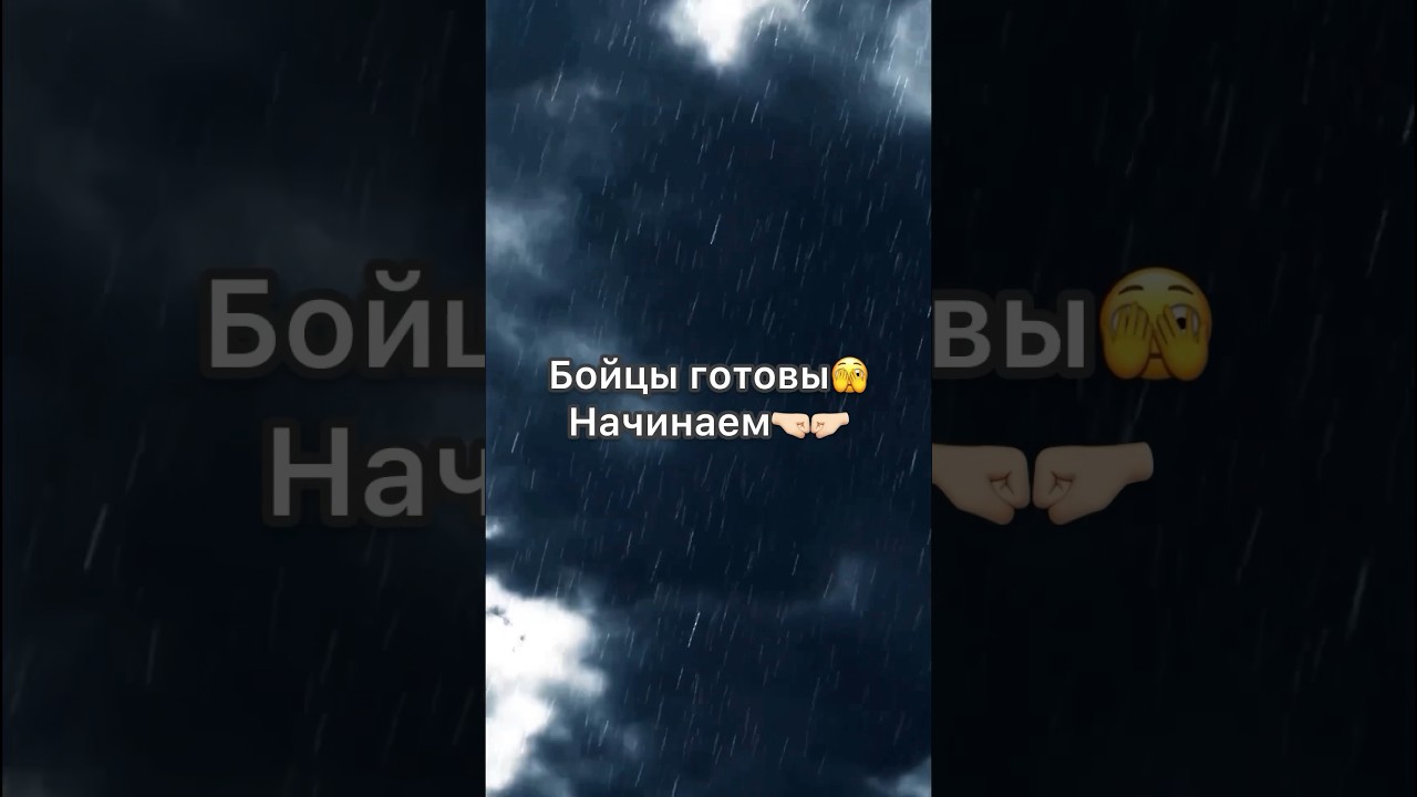 БОЙ?! Кот VS шиншилла😨 
