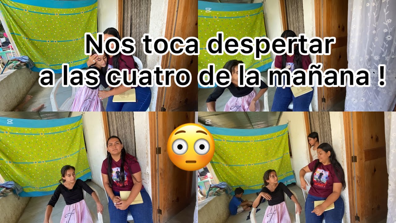 🔴Nos da tanta Ternura ver como entre ellas se cuidan y ver como estan al pendiente de todo
