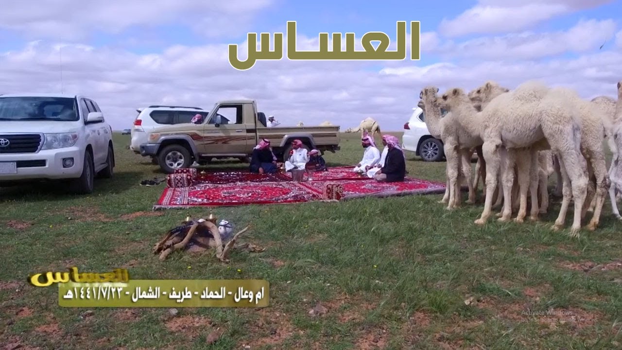 برنامج العساس | ام وعال - الحماد - طريف - الشمال 23-7-1441هـ