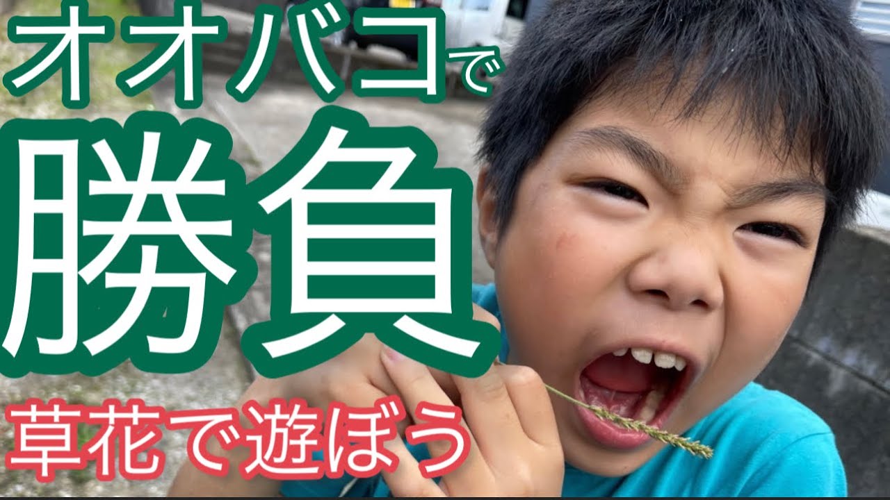 【遊び】勝つのはどっち？オオバコで勝負だ！草相撲