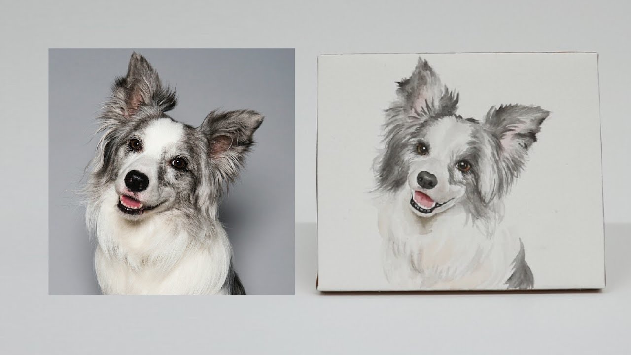 보더콜리 페퍼 수채화 그리기 (Border collie watercolorpainting)| 수면영상