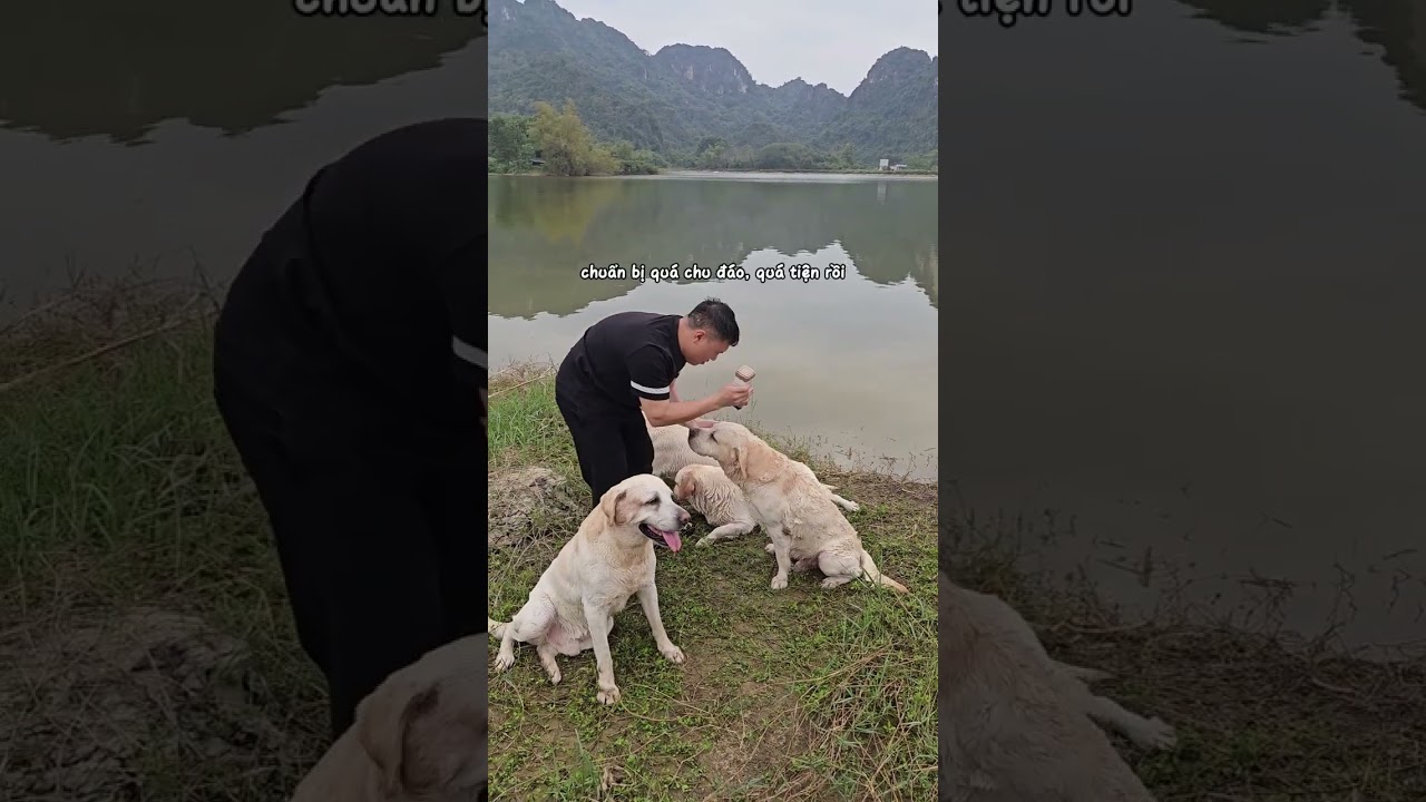 Hiếm khi bác Nô cho chúng cháu thoải mái bơi lội như này 🥰