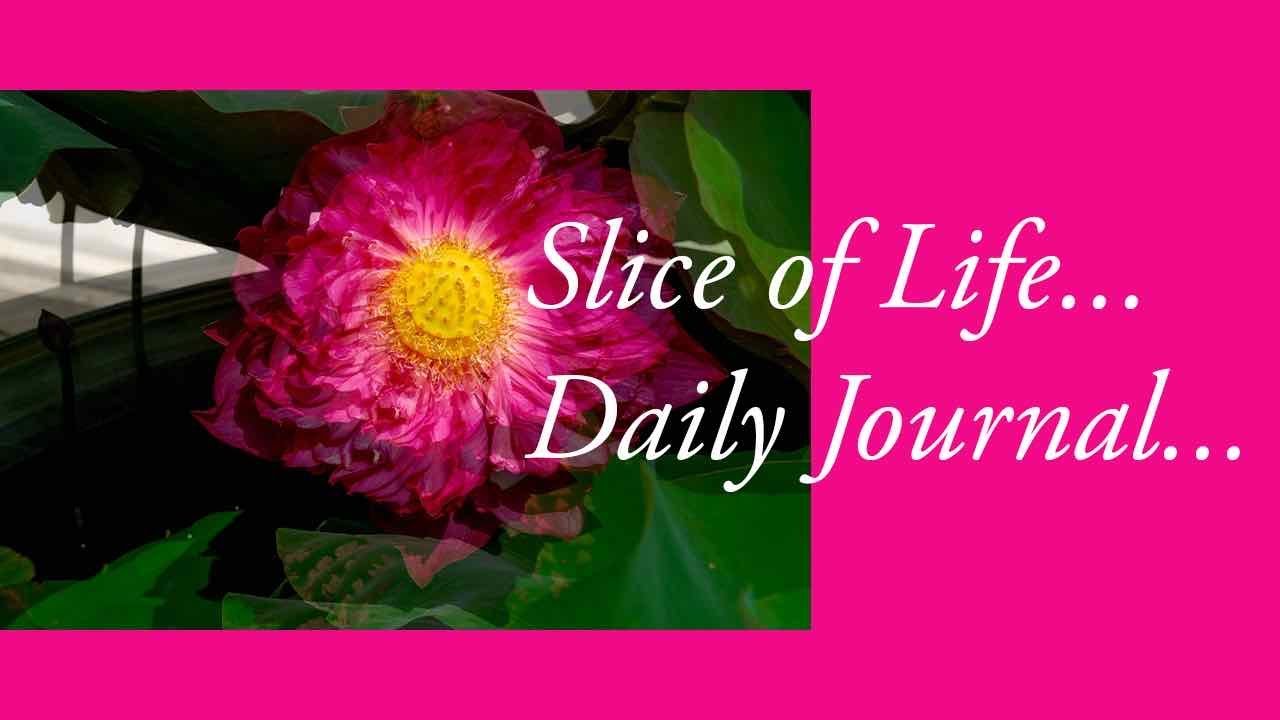 Slice of Life..Daily Journal #Bangkok #thailand #food #nature #slowlifestyle