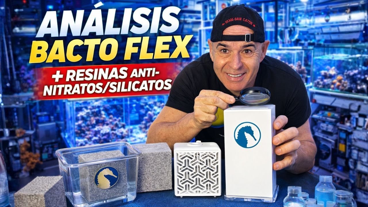 Cómo Mantener Nitratos y Silicatos a Raya (Explicado Fácil)!!