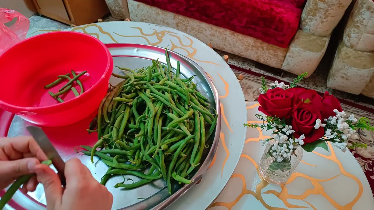 يوم كامل من الصبح للمسى 🤗
