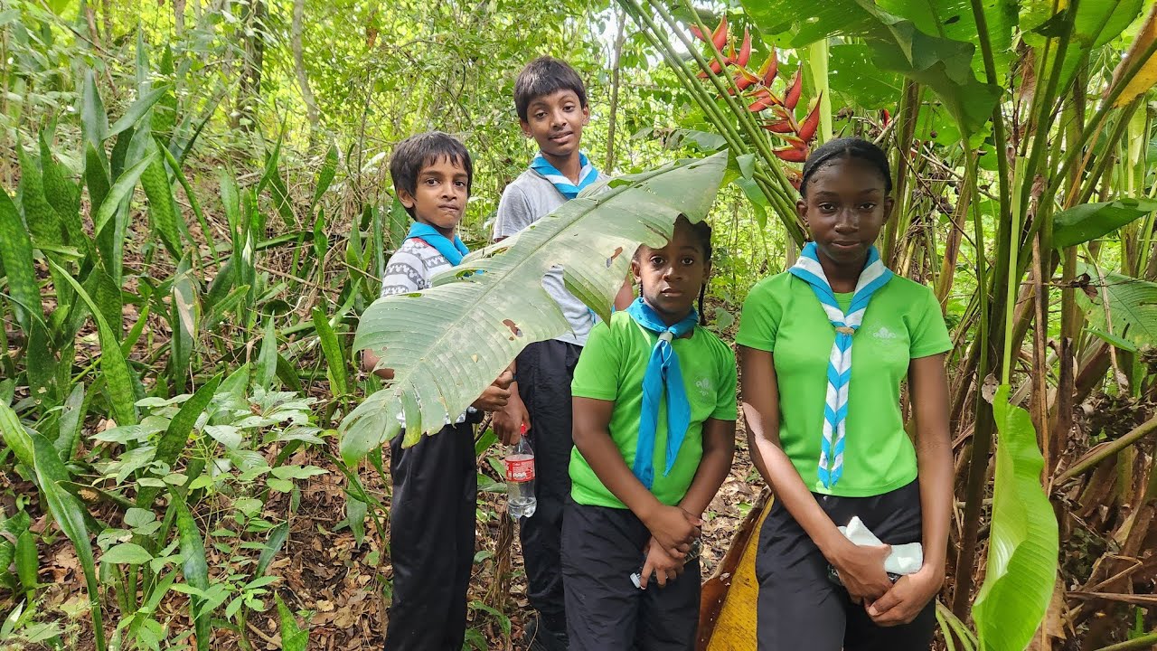 Survival hike with the 2nd Fullerton Scouts 