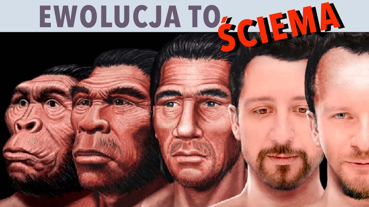 36 proc. Polaków nie wierzy w ewolucję - Lekko Stronniczy 1598
