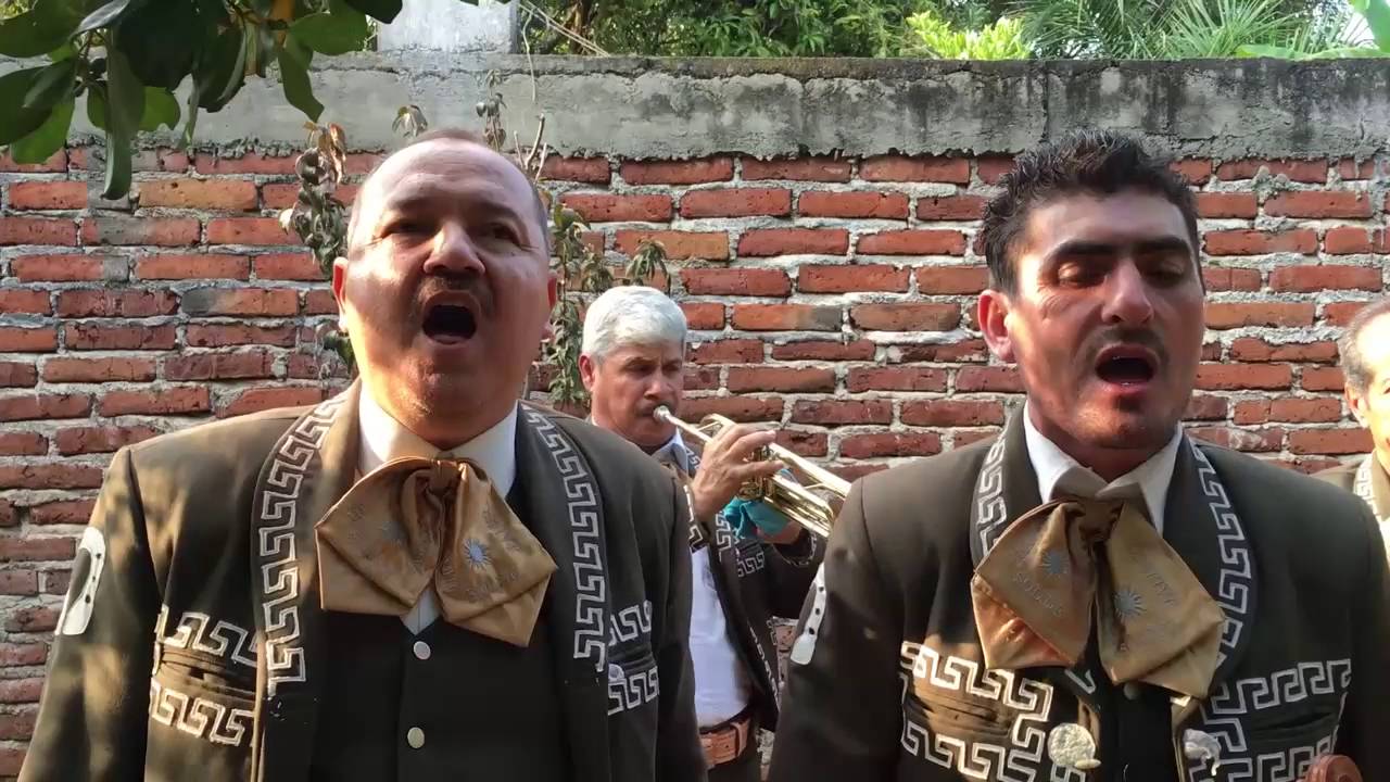 Cotija Mariachi Sol de Jalisco de Luis Ruiz 