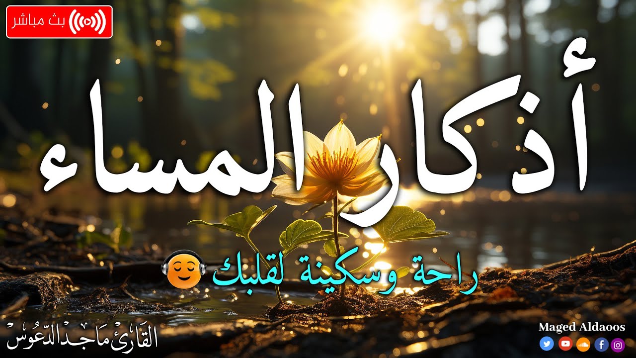 اذكار المساء بصوت يريح قلبك جداااا 🤍! وقاية وكفاية وحرز من كل شر ||ماجد الدعوس adhkar evening