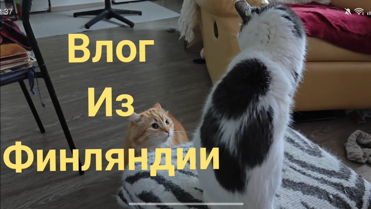 Поехали с нами  #vlog #зима #влог #обзор #мариуполь