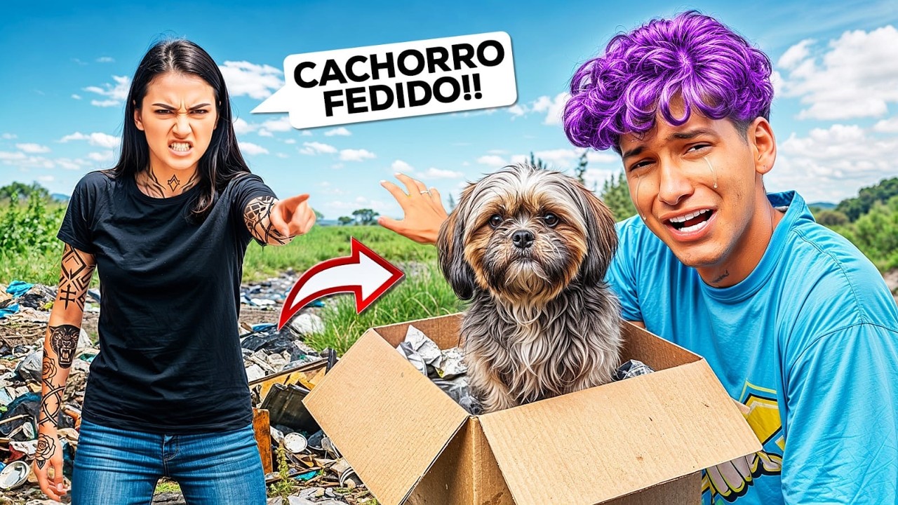 SALVAMOS UM CACHORRINHO EM PERIGO NA RUA – ELE PRECISA DE AJUDA!