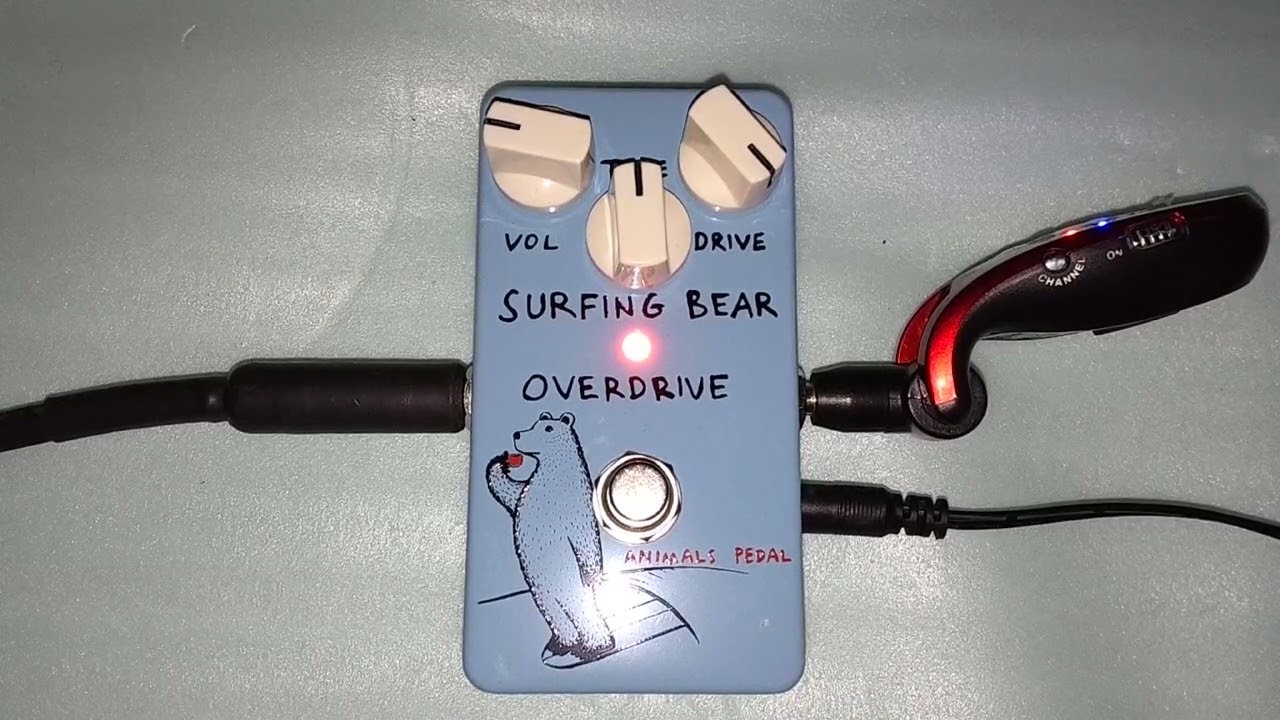 Animals Pedal：SURFING BEAR OVERDRIVE