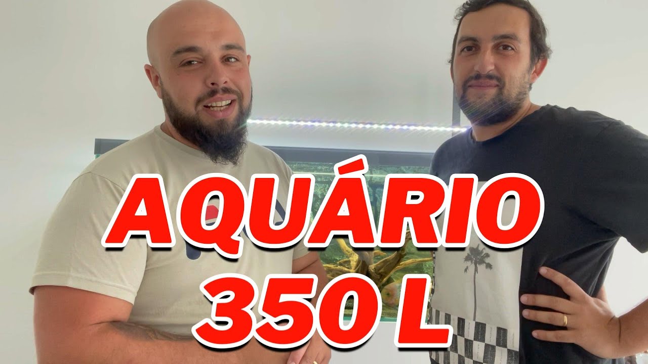 Aquário de Ciclideos Americanos do Tiago Lourenço | VISITA AO AQUÁRIO DO MEU AMIGO