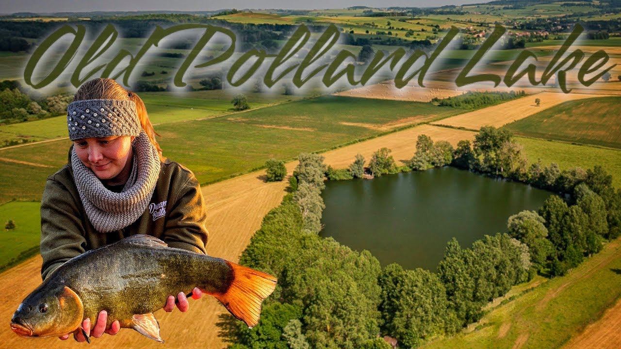 Old Pollard Lake  🇫🇷 angeln in Frankreich 🎣 The Carpspecialist