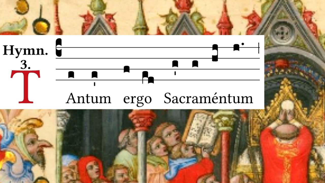 Tantum ergo - Latin Gregorian Chant Eucharistic hymn