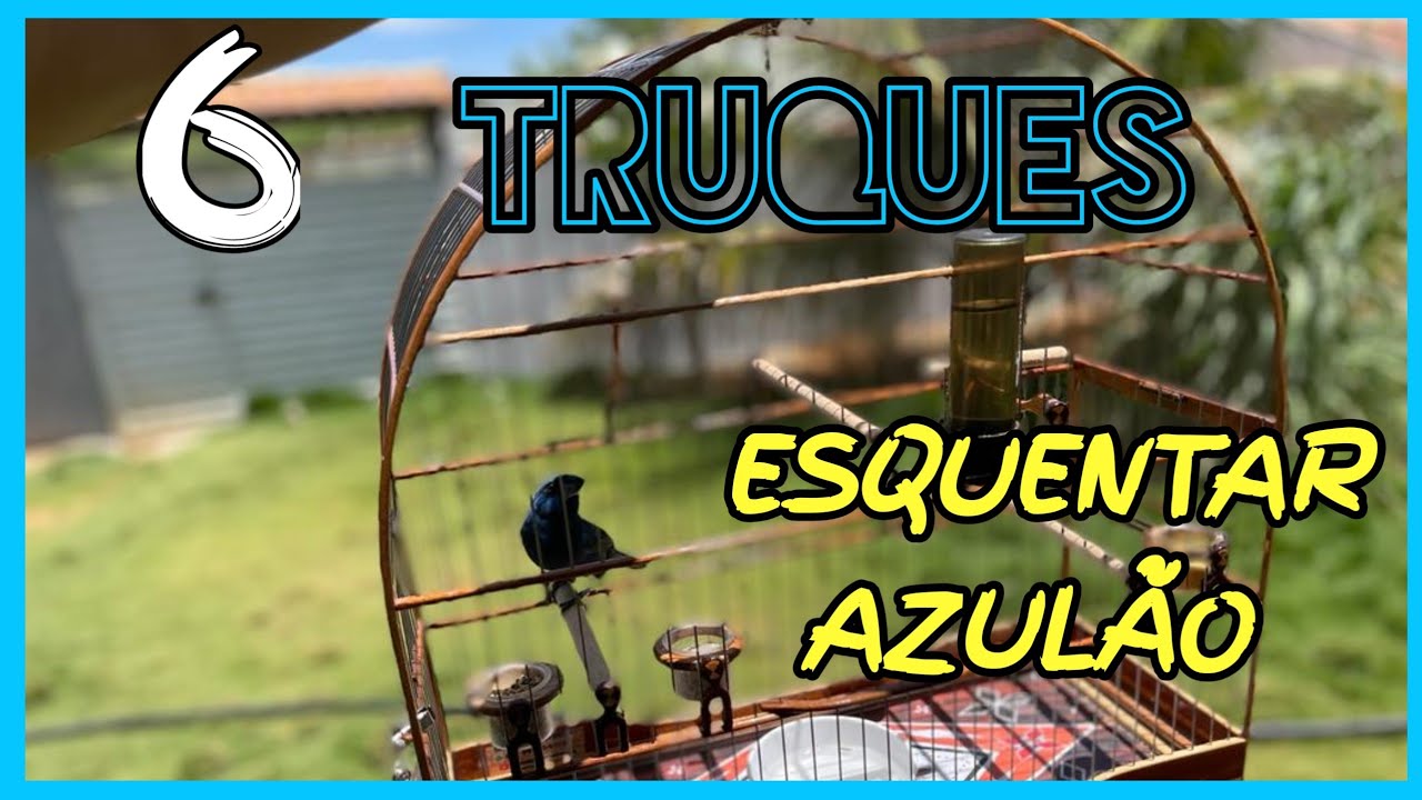como esquentar f&aacute;cil azul&atilde;o frio em casa