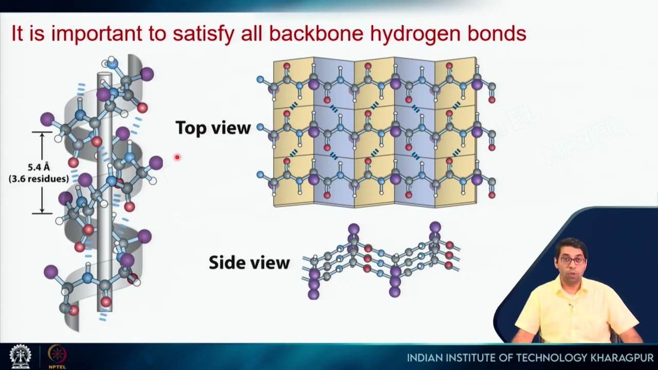 Lecture 15: Membrane proteins #swayamprabha